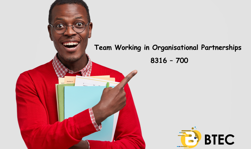 Team Working in Organisational Partnerships 8316 – 700